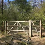 Geschakelde Op De Veluwe 