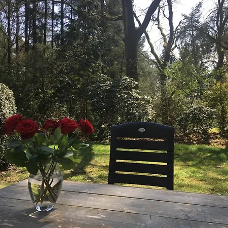 Geschakelde Op De Veluwe 