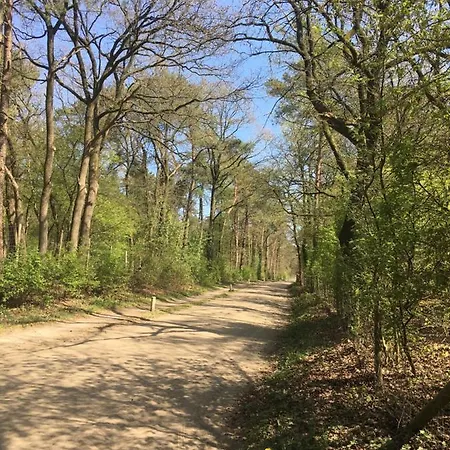 Apartment Geschakelde Op De Veluwe 