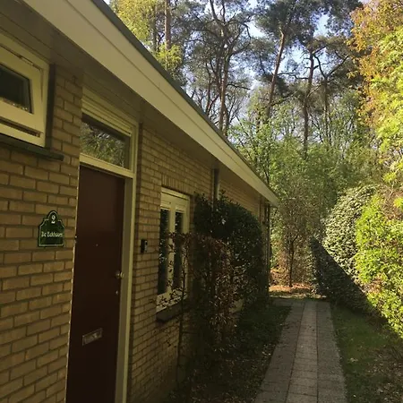 Geschakelde Op De Veluwe 