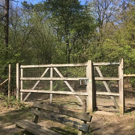 Geschakelde Op De Veluwe 