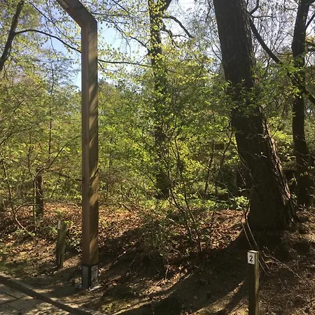 Geschakelde Op De Veluwe 