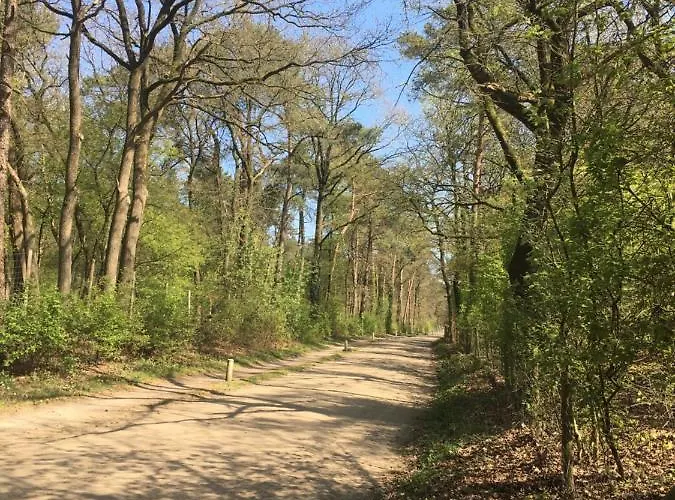 Apartment Geschakelde Op De Veluwe 