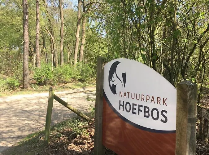 Geschakelde Op De Veluwe 