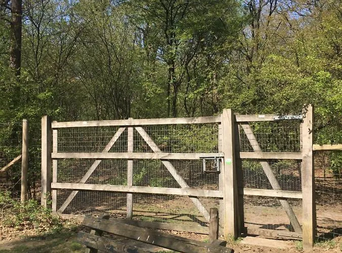 Geschakelde Op De Veluwe 