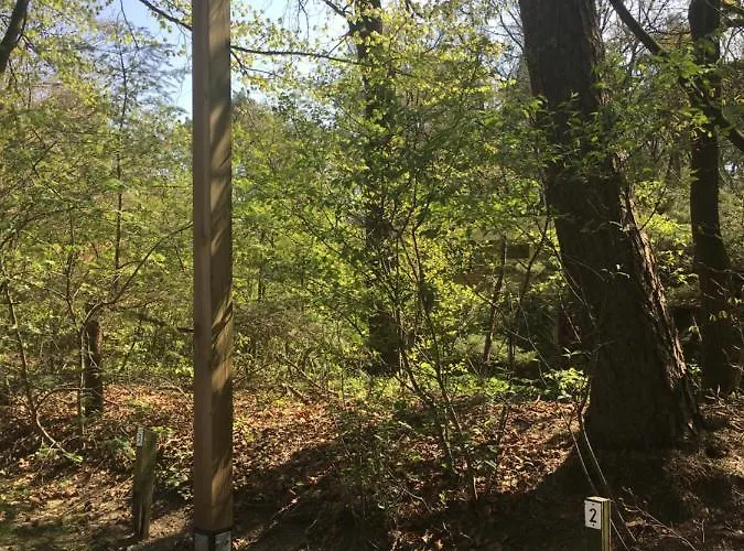 Geschakelde Op De Veluwe 