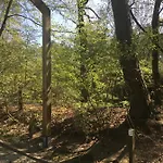 Geschakelde Op De Veluwe 