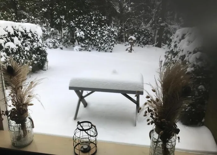 Geschakelde Op De Veluwe 