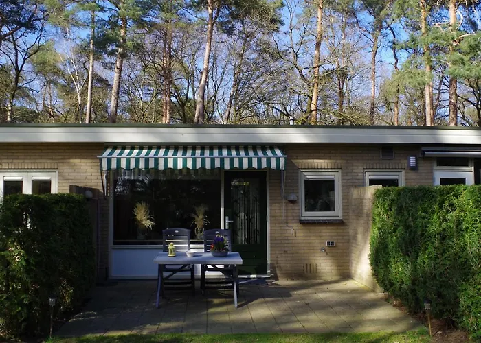 Geschakelde Op De Veluwe 