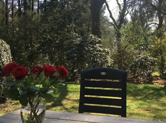 Geschakelde Op De Veluwe 