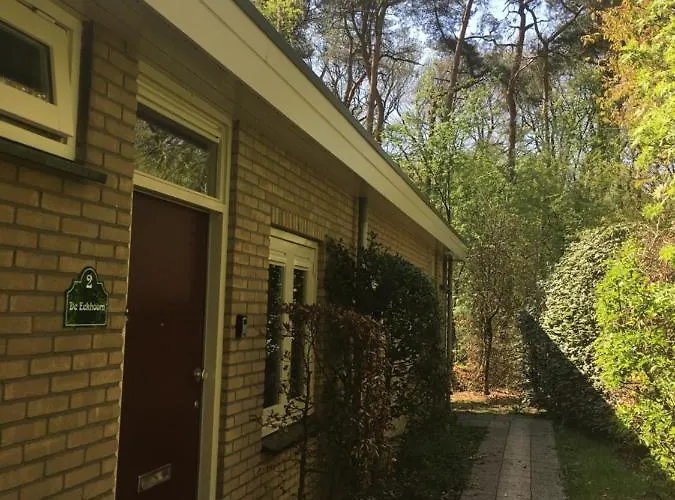 Geschakelde Op De Veluwe 